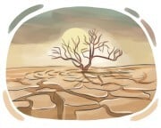 drought