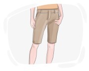 Bermuda shorts