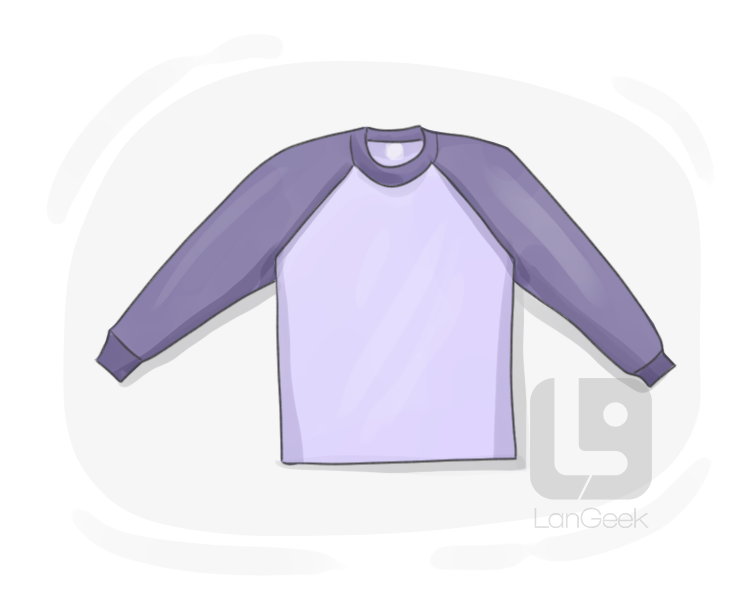 raglan sleeve definition and meaning