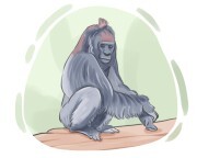 western lowland gorilla