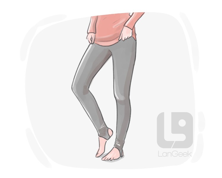 Definition & Meaning of Leggings