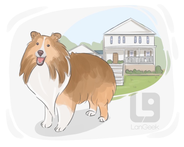 housedog definition and meaning