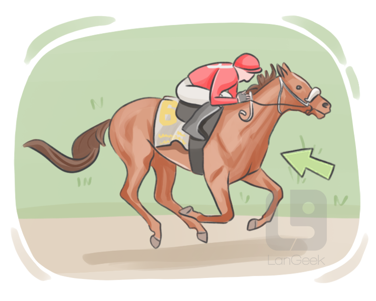 racehorse definition and meaning