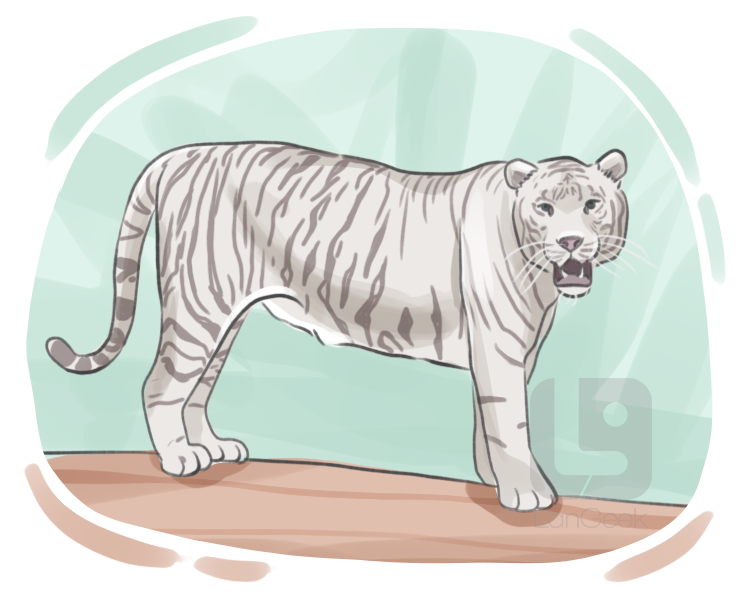 white tiger definition and meaning
