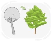 to [go] one better than {sb/sth}