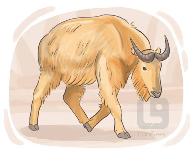 gnu goat definition and meaning