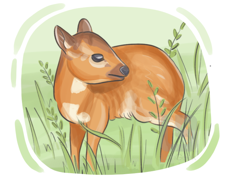 royal antelope definition and meaning