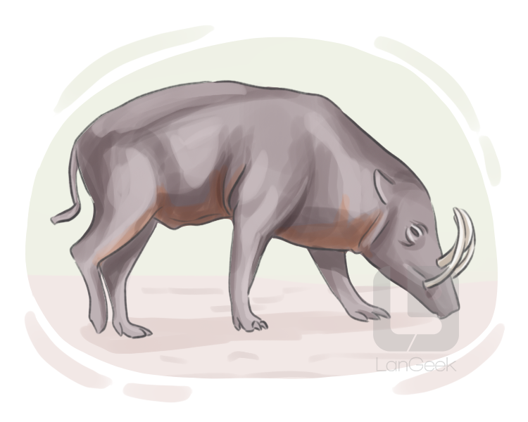 babirusa definition and meaning
