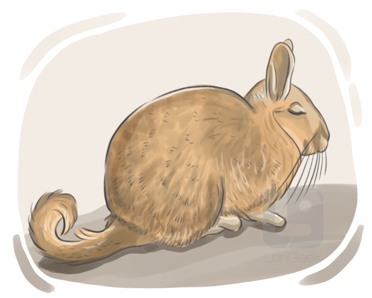 viscacha definition and meaning
