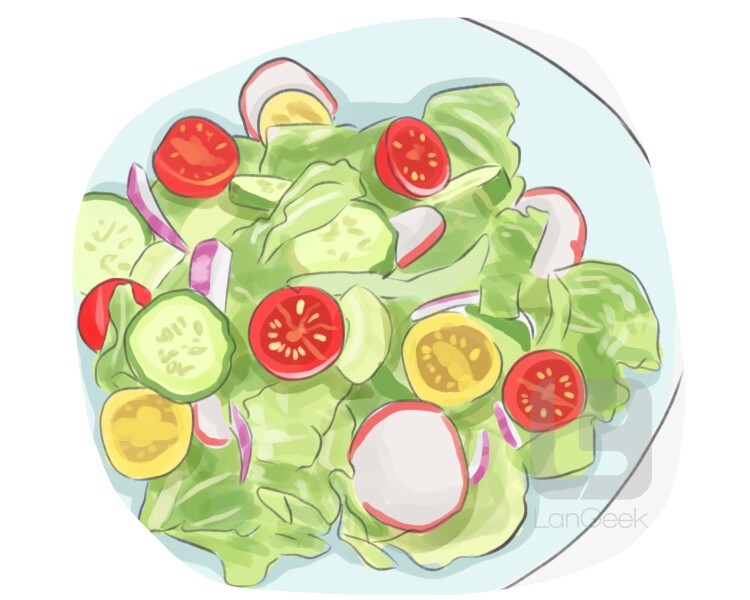 Definition & Meaning of "House salad" LanGeek