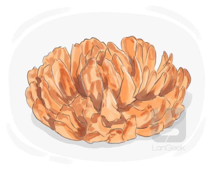 Definition & Meaning of "Blooming onion" LanGeek