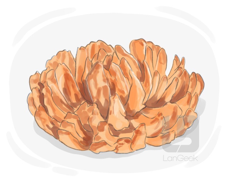 blooming onion definition and meaning