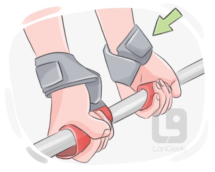 Definition & Meaning of "Lifting strap" LanGeek