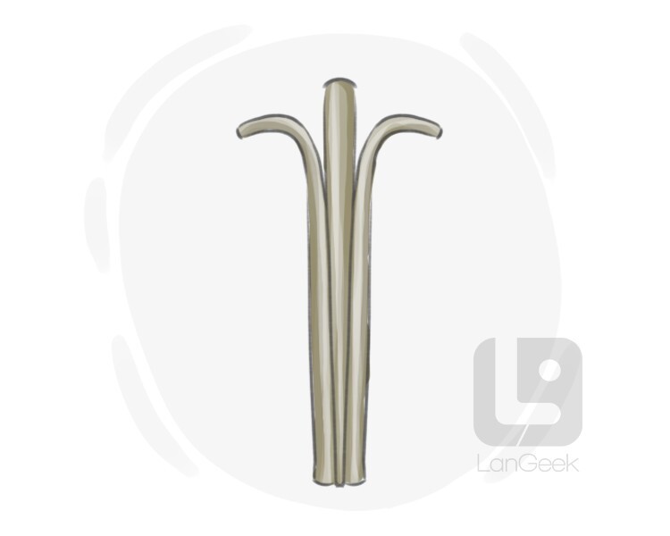 Definition & Meaning of "Plug and feather" LanGeek