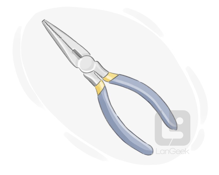 long-nose pliers definition and meaning