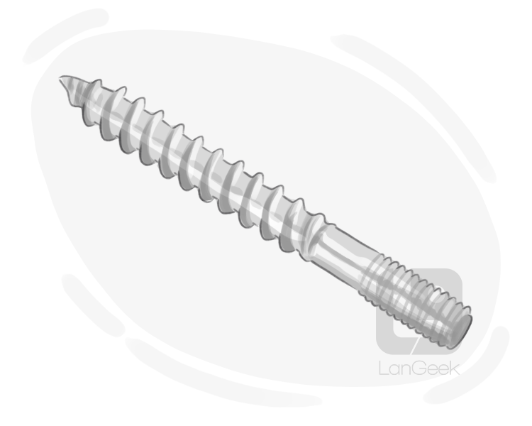 dowel screw definition and meaning