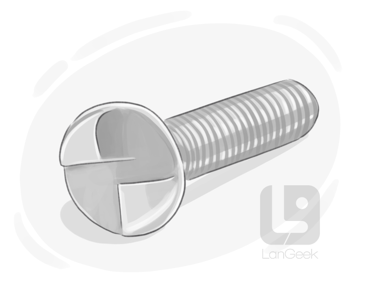 one-way screw definition and meaning