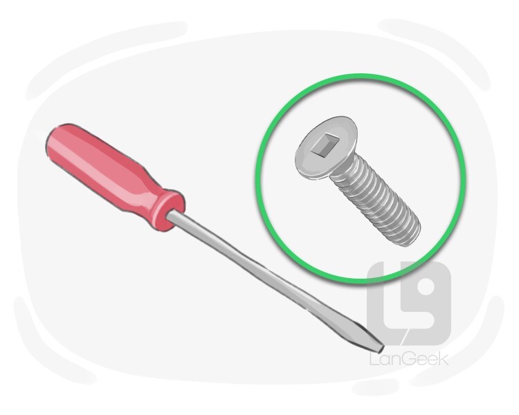 Definition & Meaning of "Robertson screwdriver" LanGeek