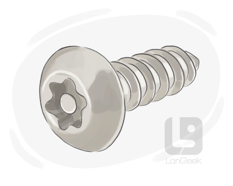 tamper-resistant screw definition and meaning