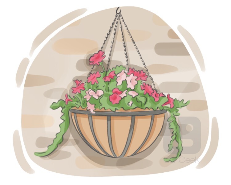 hanging basket definition and meaning
