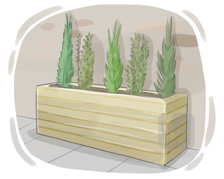 planter definition and meaning