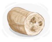 loofah