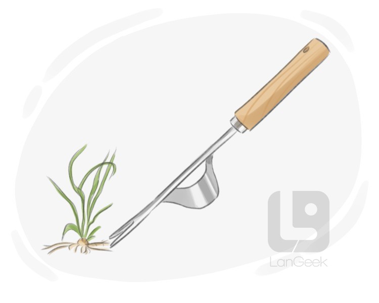 garden weeder definition and meaning