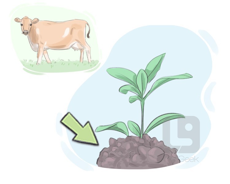 manure definition and meaning