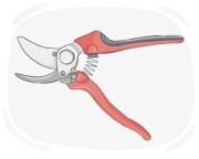 pruning shears