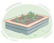 garden bed