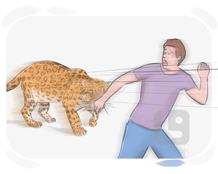 Definition & Meaning of "For dear life" LanGeek