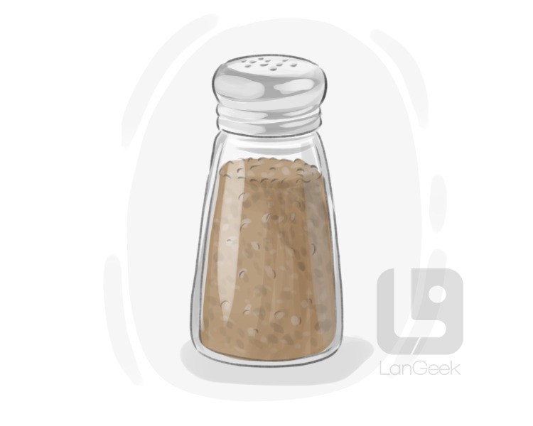 pepper shaker definition and meaning