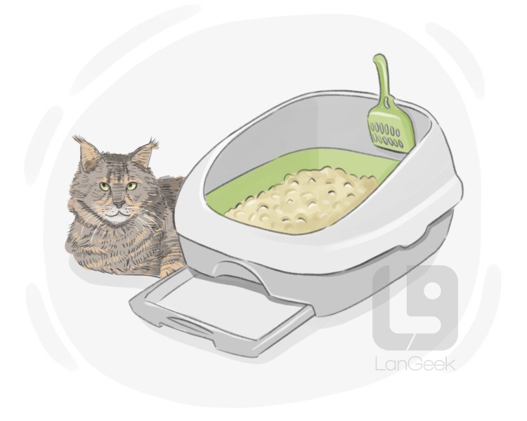 litter box definition and meaning