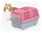 pet carrier