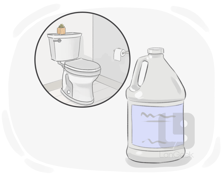 toilet bowl cleaner definition and meaning