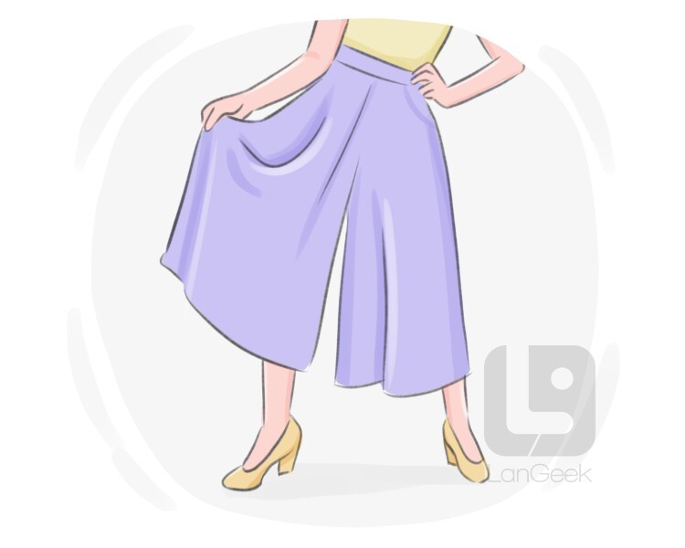 Definition Meaning of Divided skirt Picture Dictionary