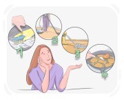 to [eat] (the|that) frog