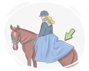 riding skirt
