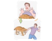 to [take] to {one's} heels