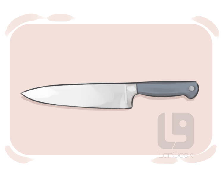 paring knife definition and meaning