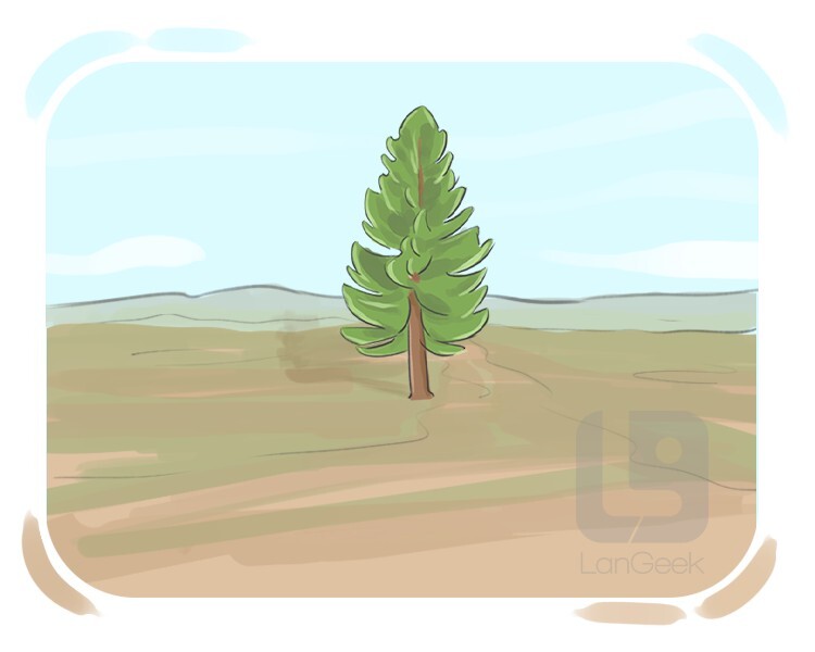 Definition & Meaning of "Only" LanGeek