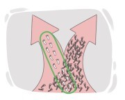 a law unto {oneself}