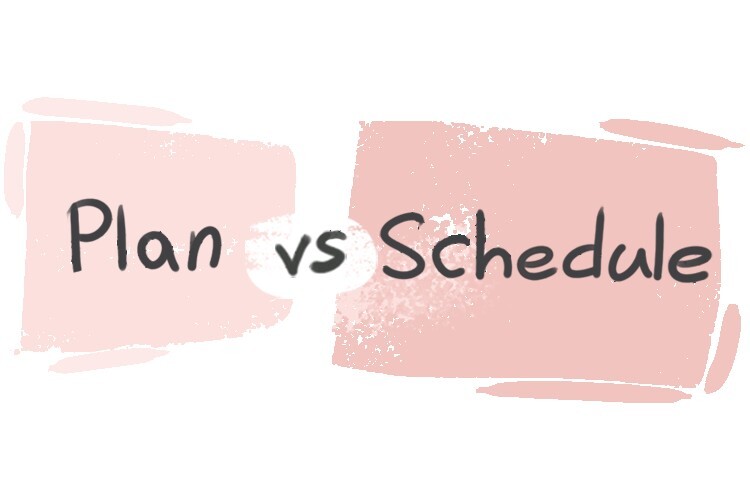 what-is-the-difference-between-plan-and-schedule-langeek