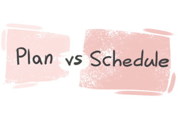 What is the difference between 'plan' and 'schedule'?