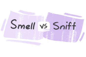 What is the difference between 'smell' and 'sniff'?