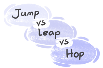 What is the difference between 'jump' and 'leap' and 'hop'?