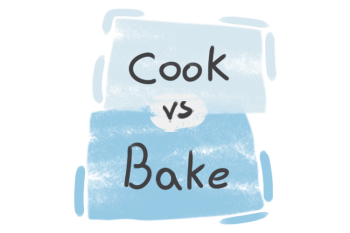 What is the difference between 'cook' and 'bake'?