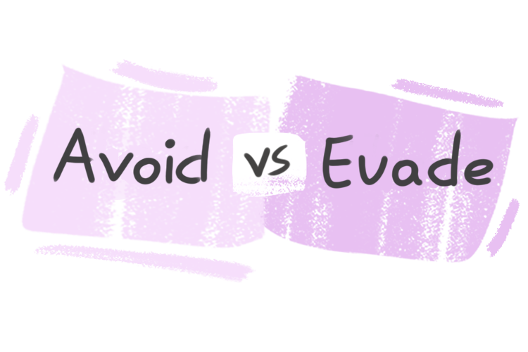 What is the difference between 'avoid' and 'evade'?