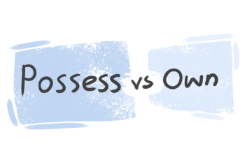 What is the difference between 'possess' and 'own'?