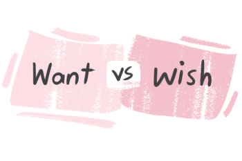 What is the difference between 'want' and 'wish'?